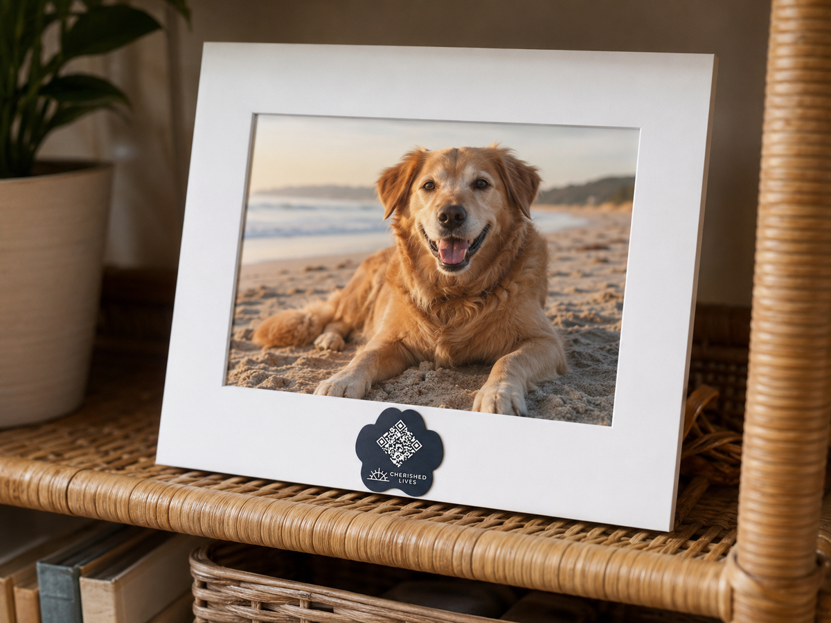 Pet Medallion