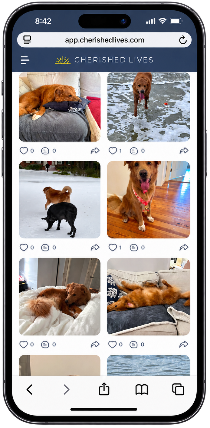 Photos, Video, and Audio